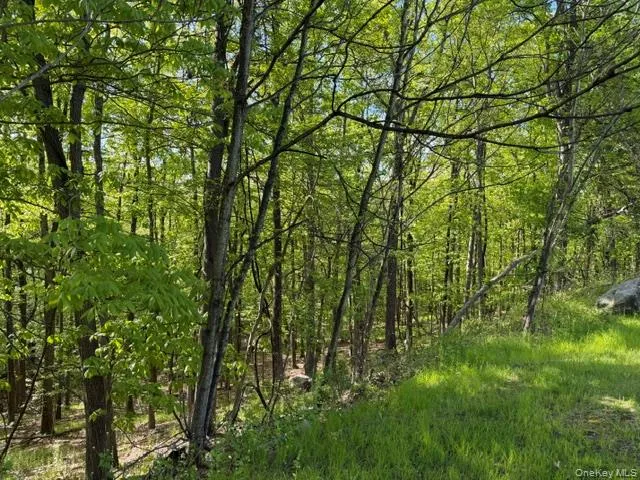 27 Council Crest Road Sloatsburg, NY 10974