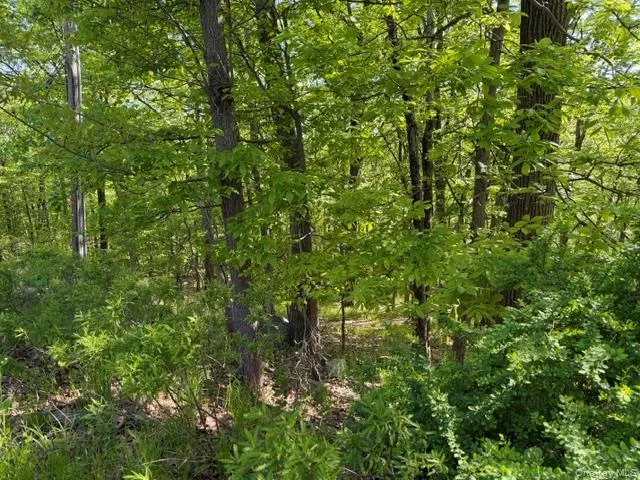 27 Council Crest Road Sloatsburg, NY 10974