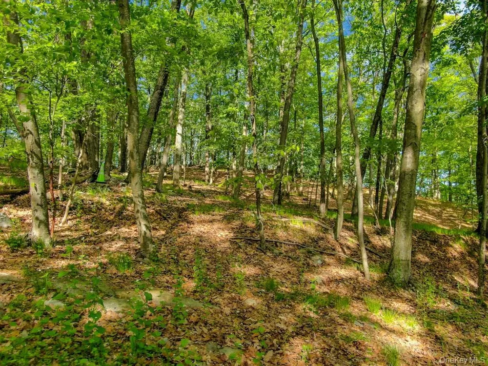 24 Council Crest Road Sloatsburg, NY 10974