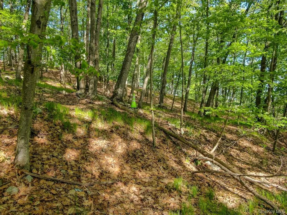 24 Council Crest Road Sloatsburg, NY 10974