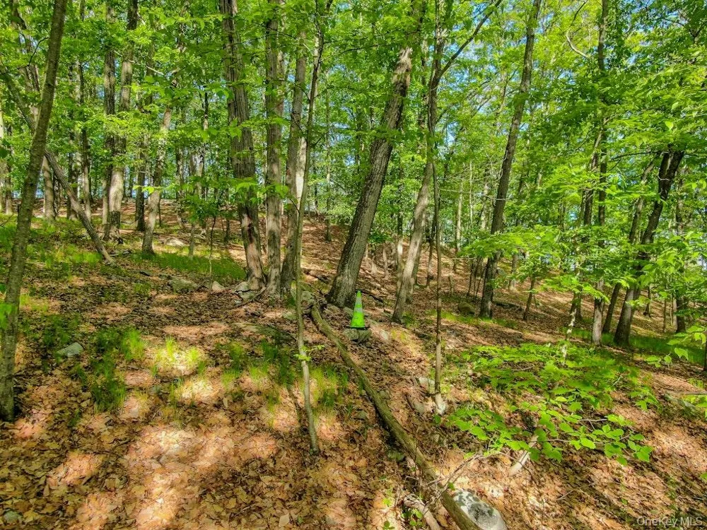 24 Council Crest Road Sloatsburg, NY 10974