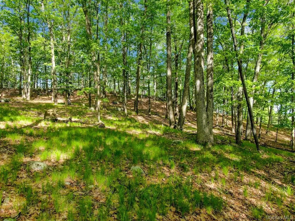 24 Council Crest Road Sloatsburg, NY 10974