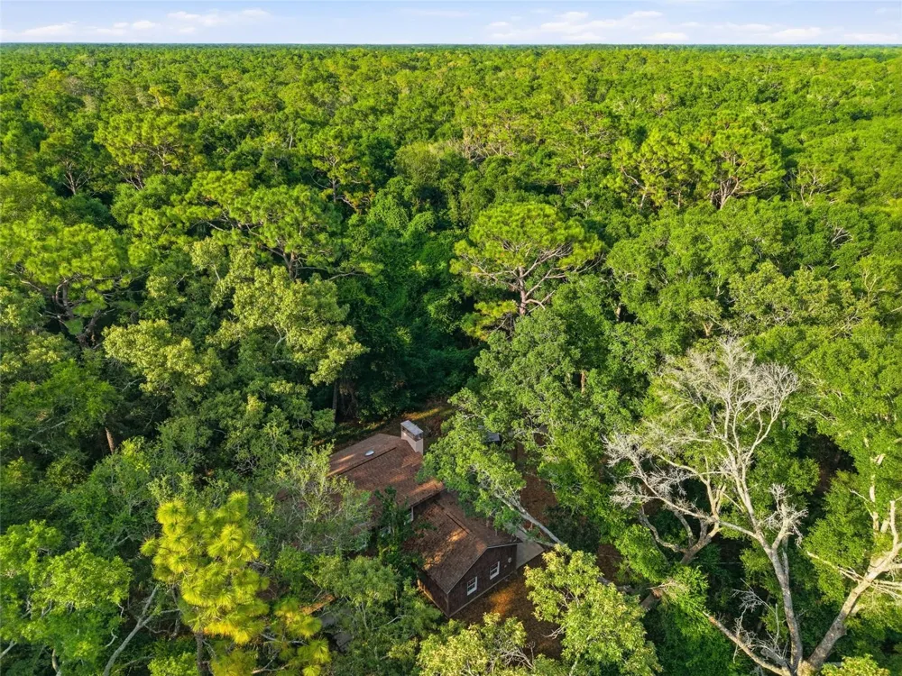 9291 NW 127TH PLACE Chiefland, FL 32626