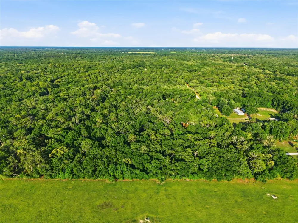 9291 NW 127TH PLACE Chiefland, FL 32626