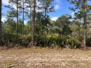 1013 (BLK 299 LOT 18) ALBA DRIVE