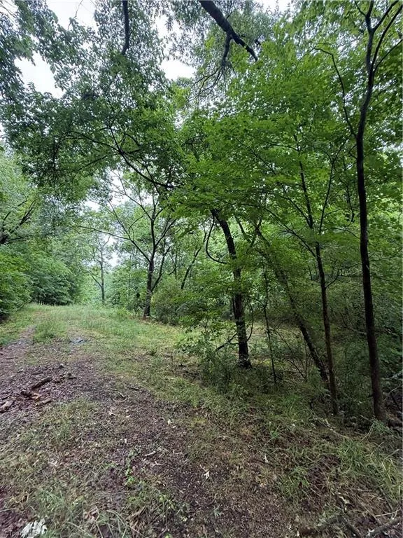 0 Pine Ridge Road China Grove, NC 28023