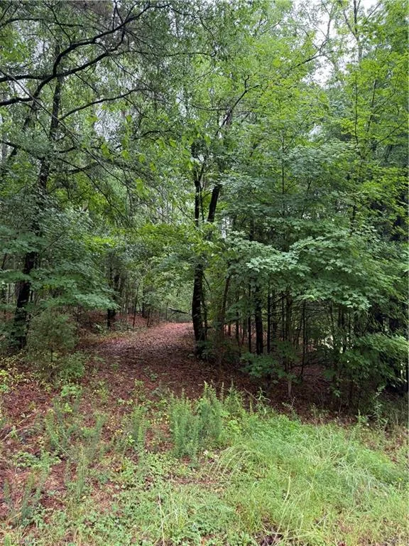 0 Pine Ridge Road China Grove, NC 28023