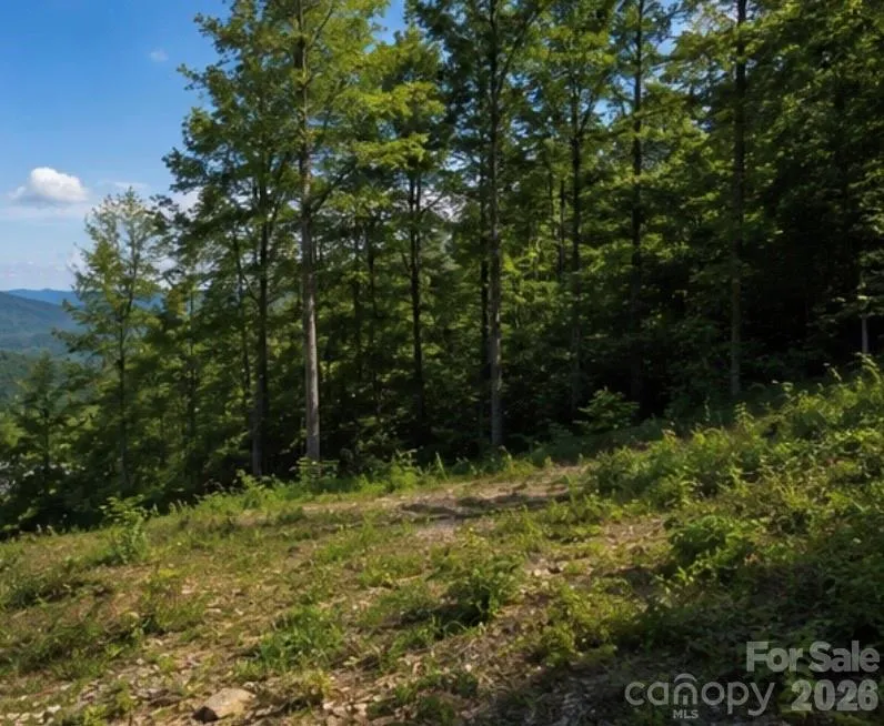 103 One Feather Road Whittier, NC 28789