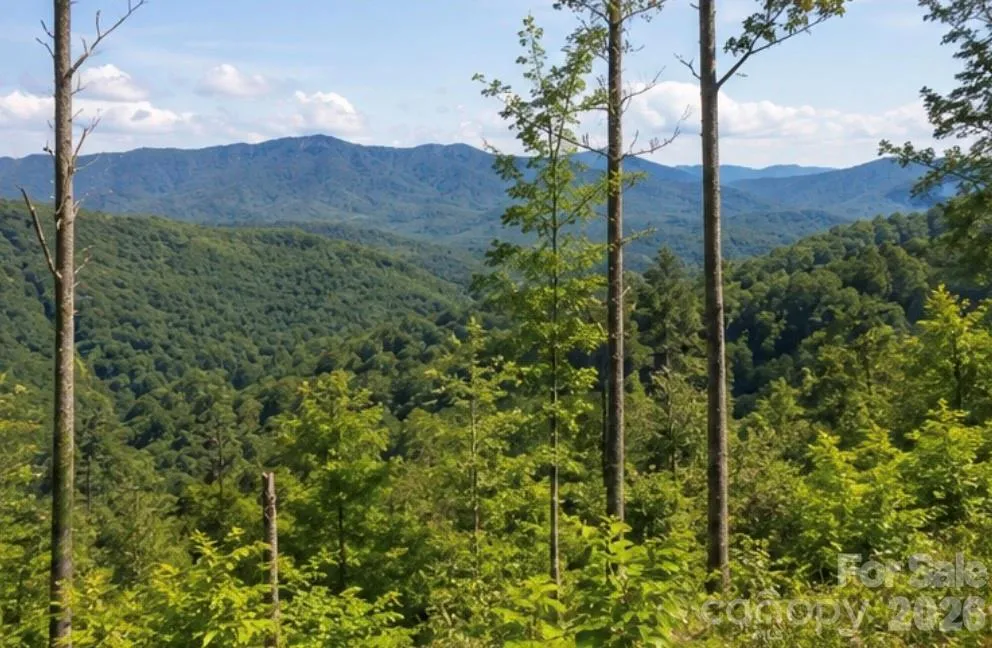 103 One Feather Road Whittier, NC 28789