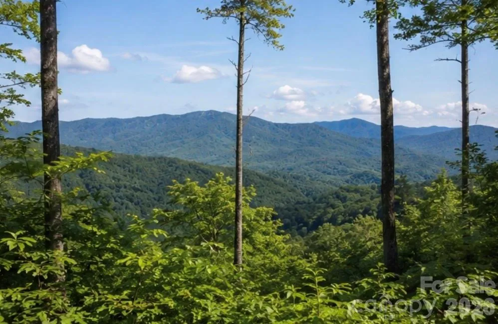 103 One Feather Road Whittier, NC 28789