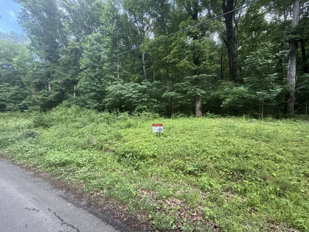 0 Caney Branch Rd Stewart, TN 37175