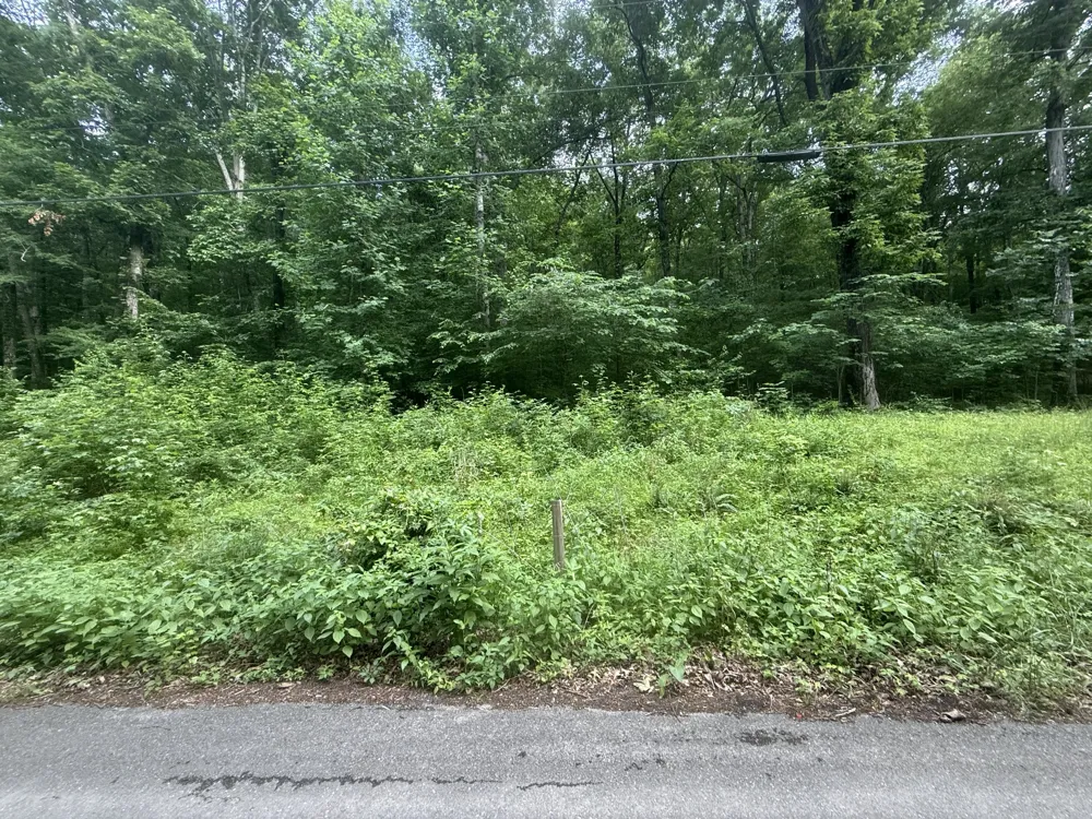 0 Caney Branch Rd Stewart, TN 37175