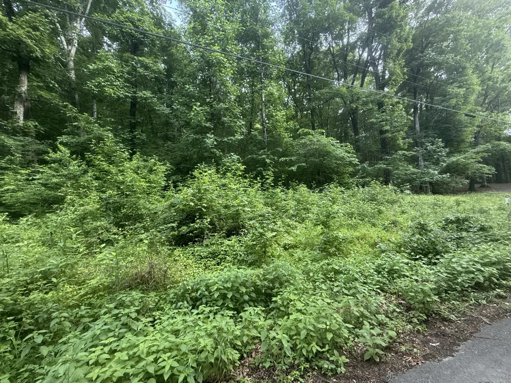 0 Caney Branch Rd Stewart, TN 37175