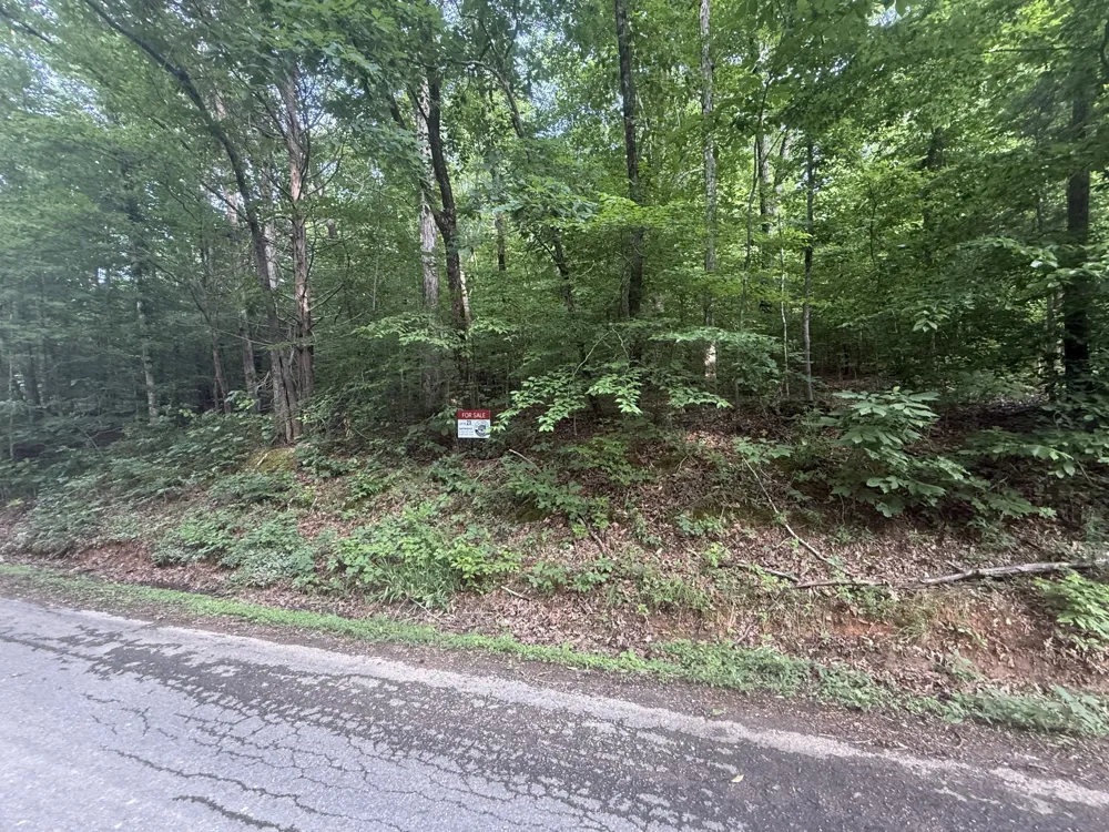 0 Caney Branch Rd Stewart, TN 37175