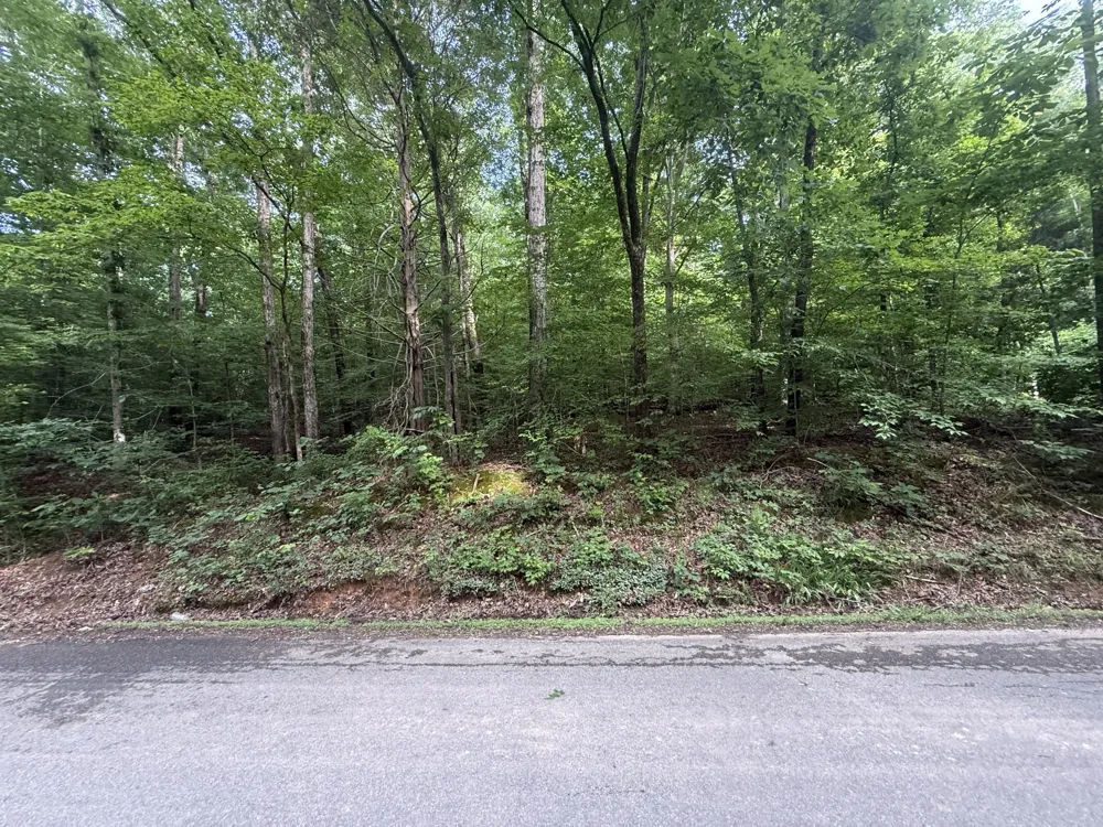 0 Caney Branch Rd Stewart, TN 37175