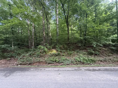 0 Caney Branch Rd