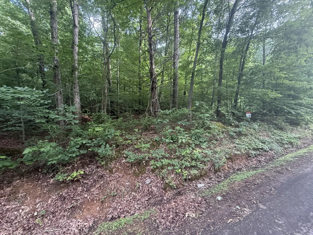 0 Caney Branch Rd Stewart, TN 37175