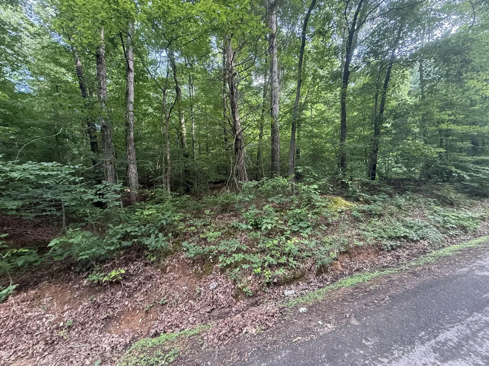 0 Caney Branch Rd Stewart, TN 37175