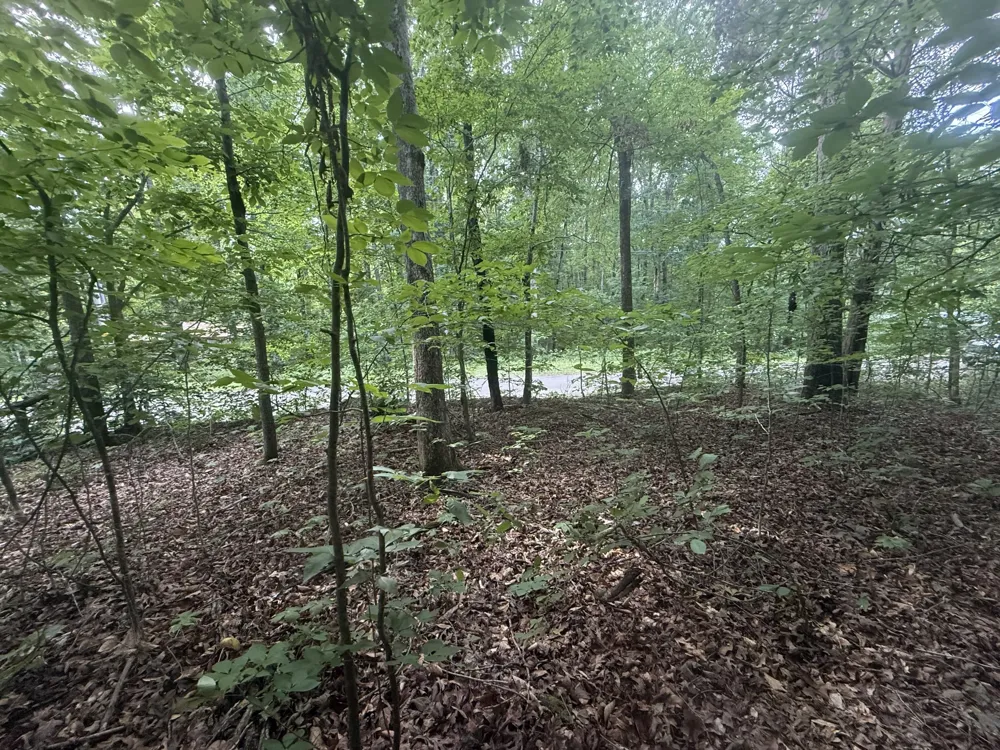 0 Caney Branch Rd Stewart, TN 37175