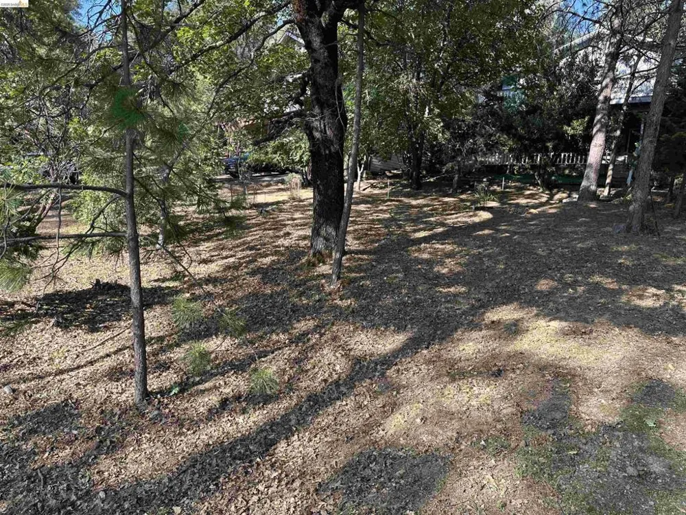 12948 Mueller Dr Groveland, CA 95321