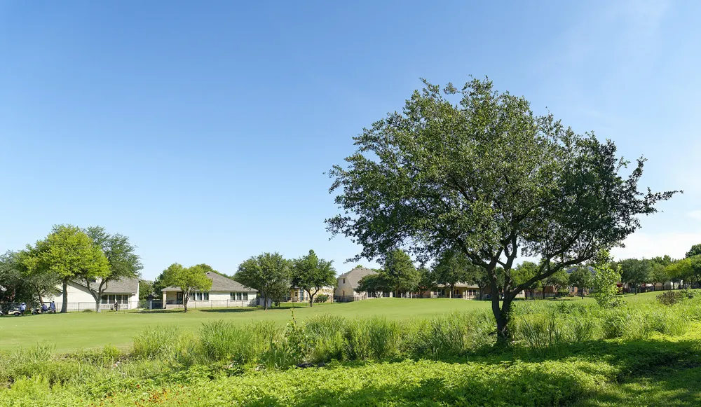 1116 Hillridge Drive Round Rock, TX 78665