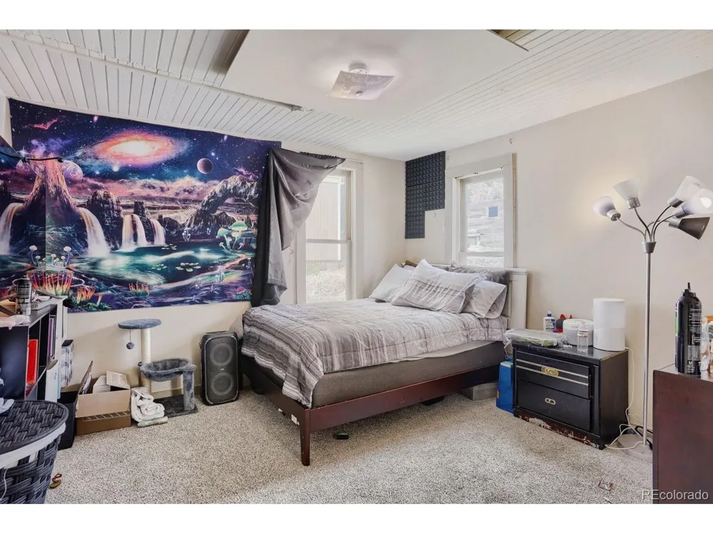 327 Virginia Street Idaho Springs, CO 80452