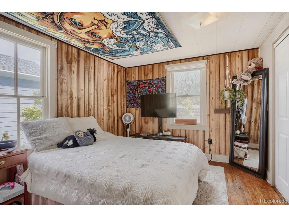 327 Virginia Street Idaho Springs, CO 80452
