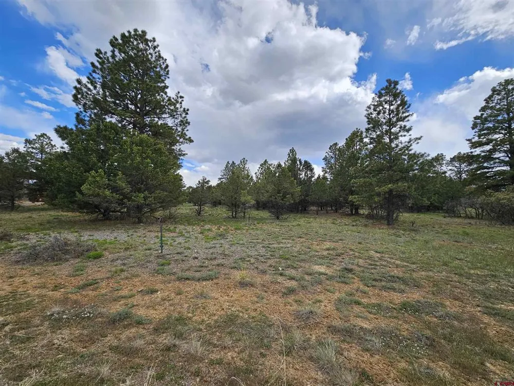 Marmot Drive Ridgway, CO 81432