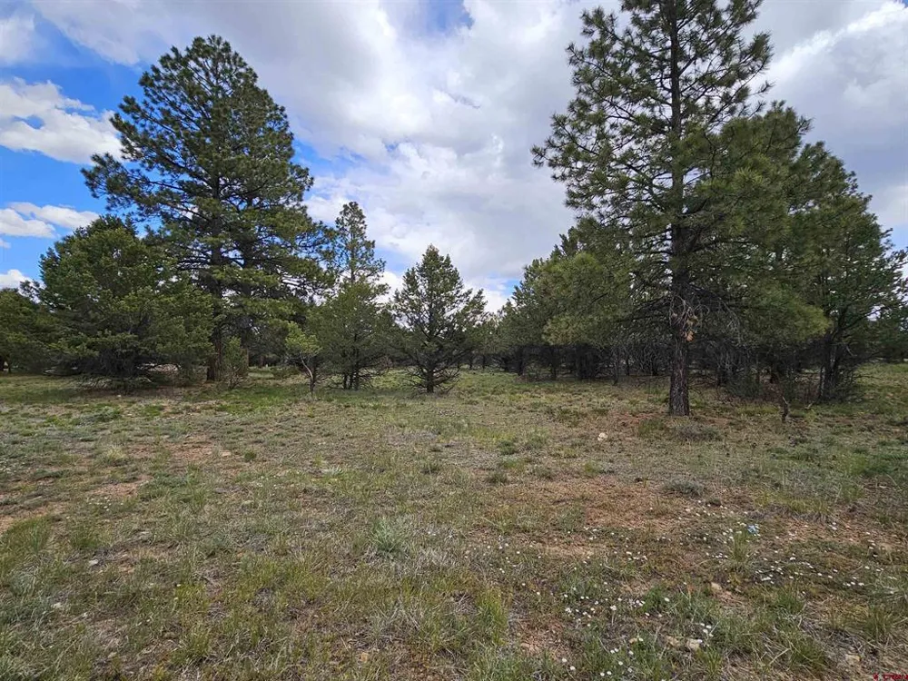 Marmot Drive Ridgway, CO 81432