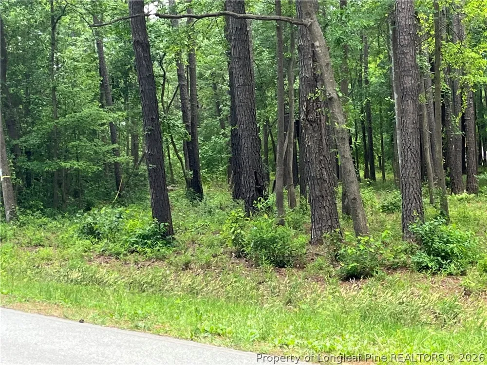 Bryant Circle Maxton, NC 28364
