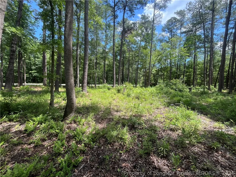 Bryant Circle Maxton, NC 28364