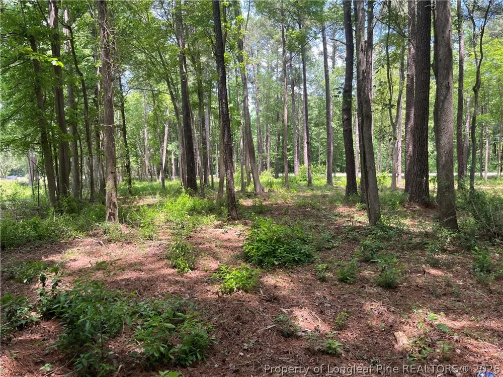 Bryant Circle Maxton, NC 28364