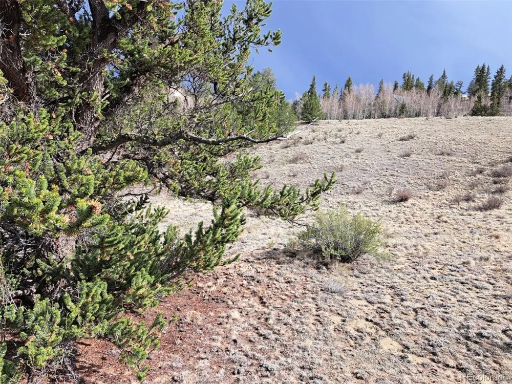 1411 Travois Road Como, CO 80432