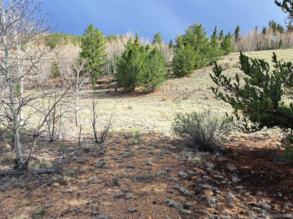 1411 Travois Road Como, CO 80432
