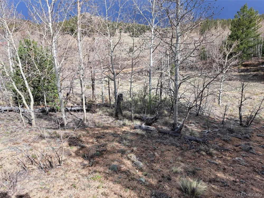 1411 Travois Road Como, CO 80432