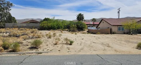 Ocotillo Road