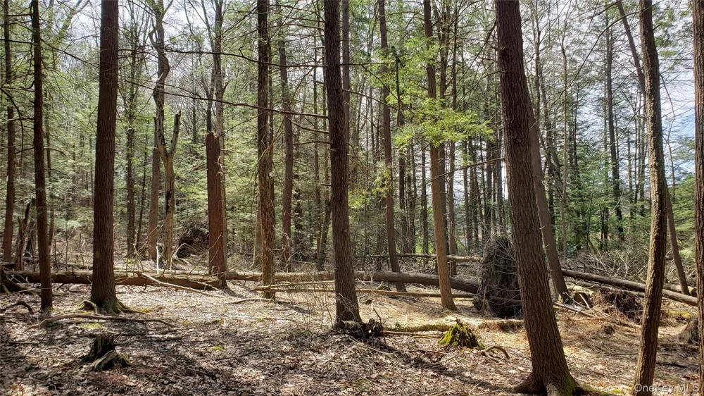 00 Forestburgh Road Glen Spey, NY 12737