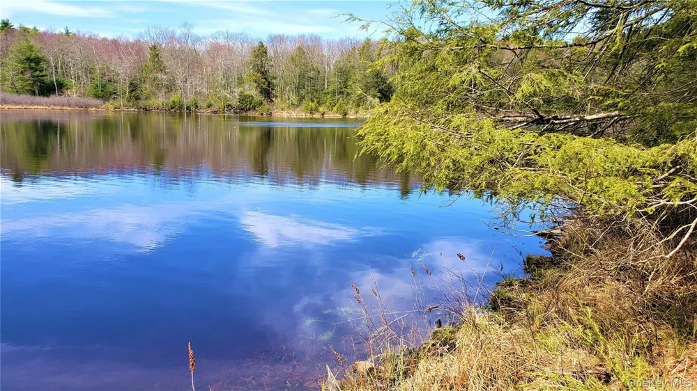 00 Forestburgh Road Glen Spey, NY 12737