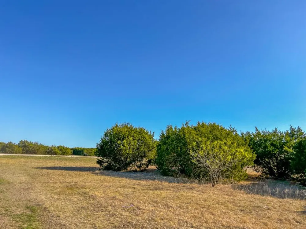 10 Hamilton Hamilton, TX 76531