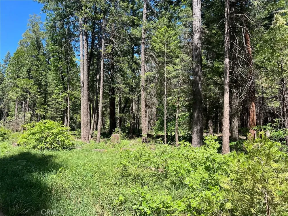 EASTWOOD WAY Shingletown, CA 96088