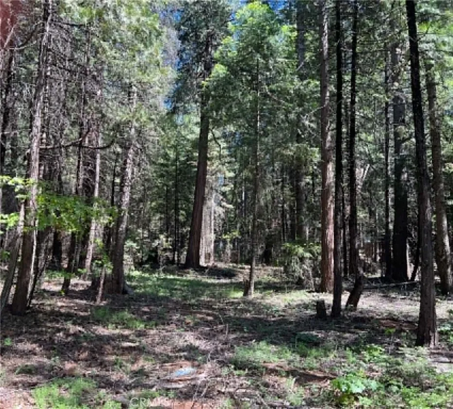 EASTWOOD WAY Shingletown, CA 96088