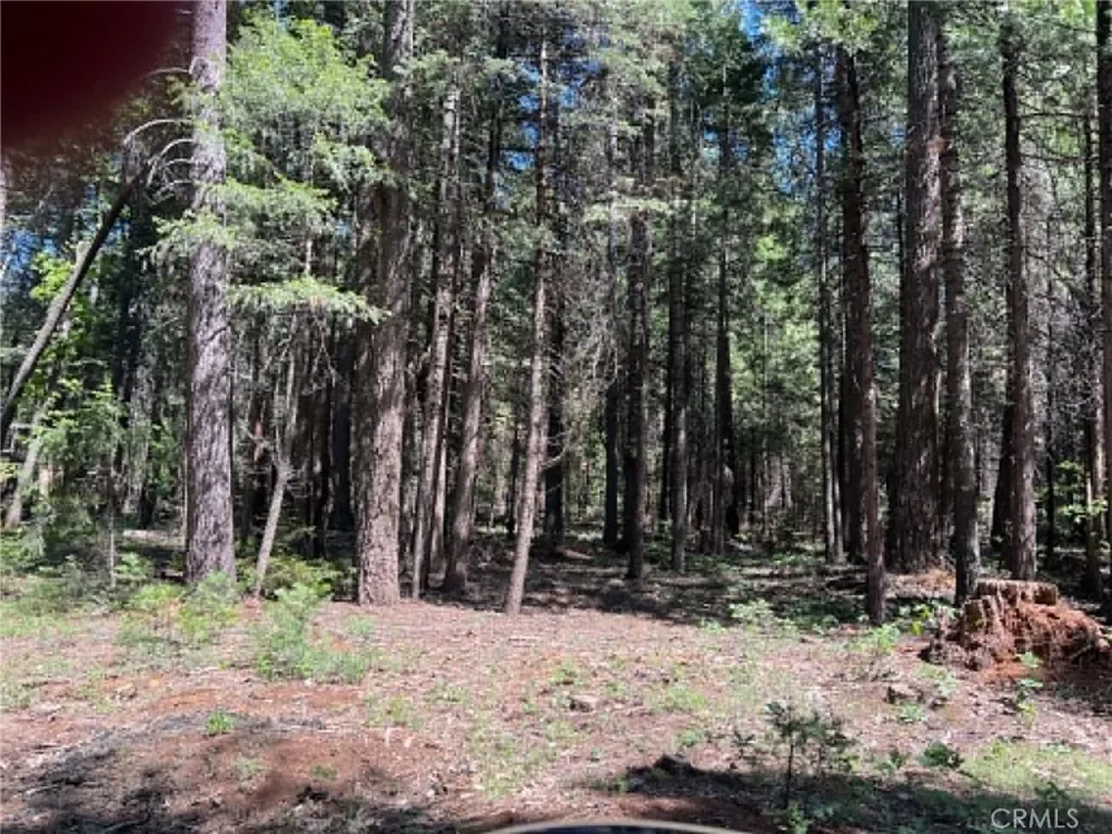 EASTWOOD WAY Shingletown, CA 96088