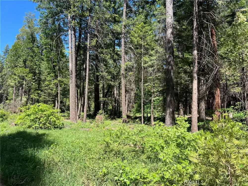 EASTWOOD WAY Shingletown, CA 96088