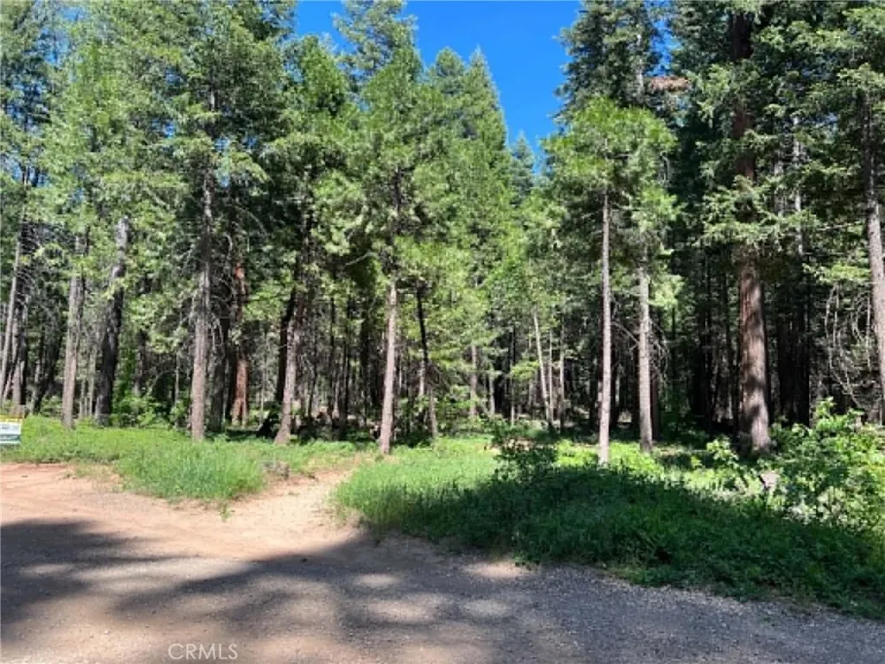 EASTWOOD WAY Shingletown, CA 96088