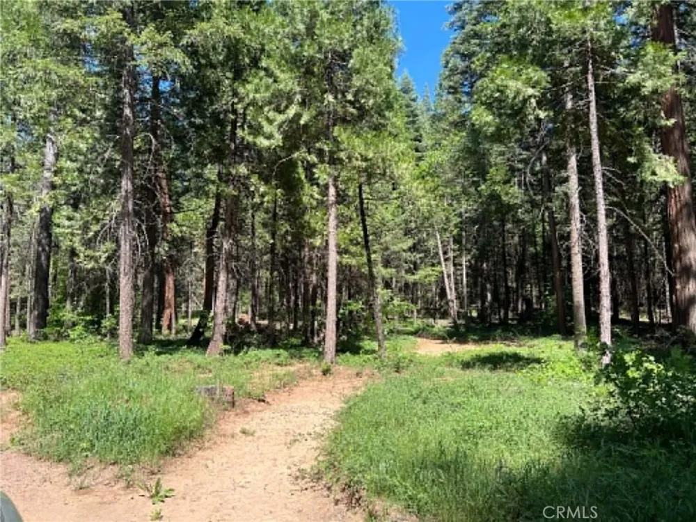 EASTWOOD WAY Shingletown, CA 96088