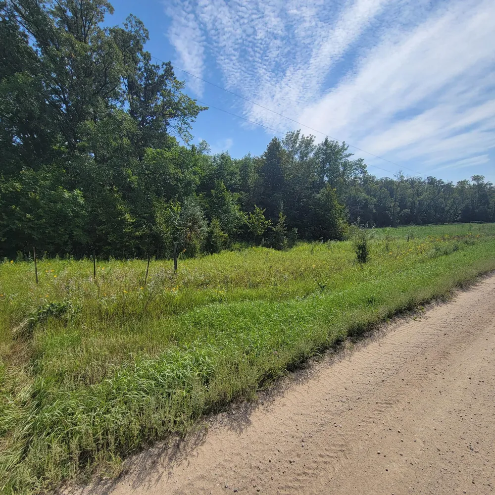 TBD Jeff Lake Road Richville, MN 56576