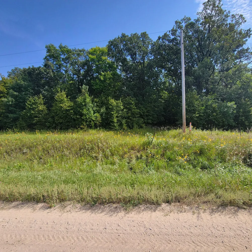 TBD Jeff Lake Road Richville, MN 56576