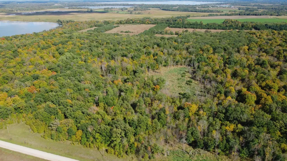 TBD Jeff Lake Road Richville, MN 56576