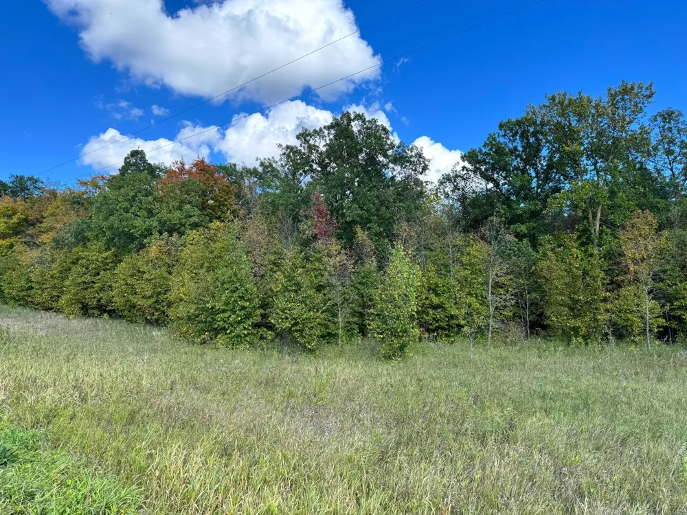 TBD Jeff Lake Road Richville, MN 56576
