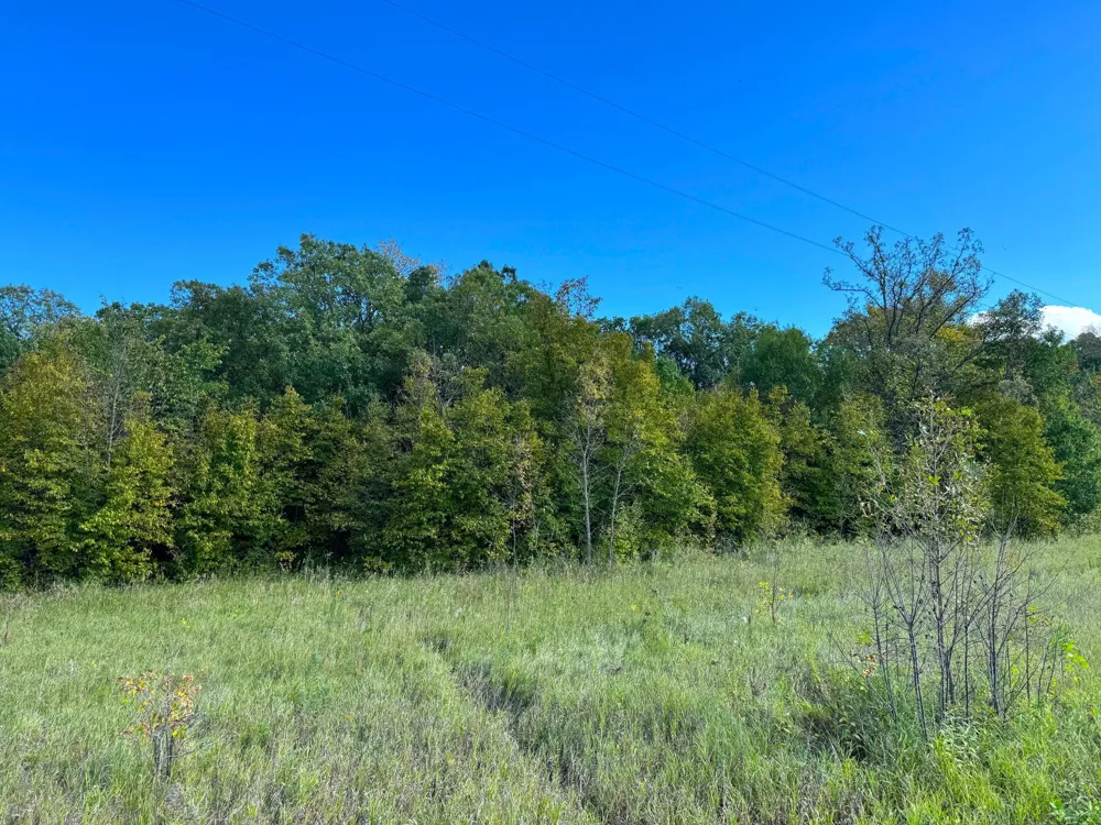 TBD Jeff Lake Road Richville, MN 56576